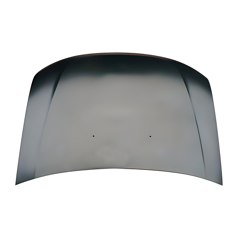 RENAULT DUSTER 09 Kaput