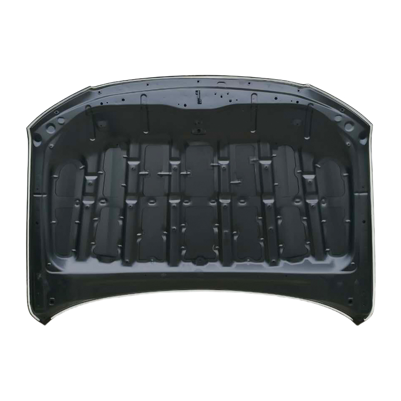 TOYOTA LAND CRUISER 08 Kaput