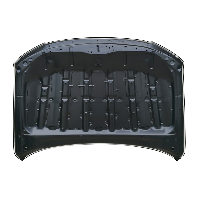 TOYOTA LAND CRUISER 08 Kaput